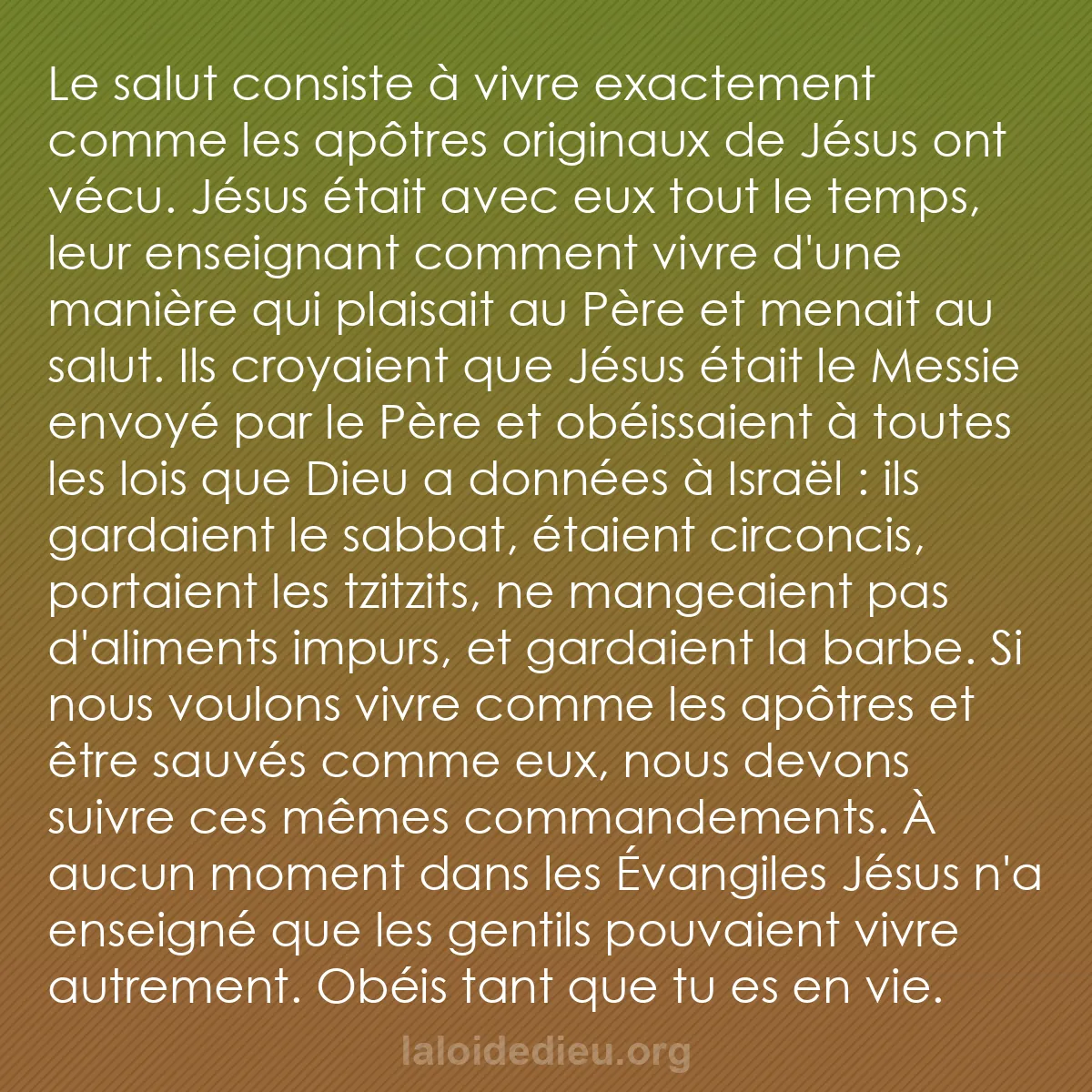 b0009 - Post à propos de la Loi de Dieu : Le salut consiste à vivre exactement comme les apôtres originaux...
