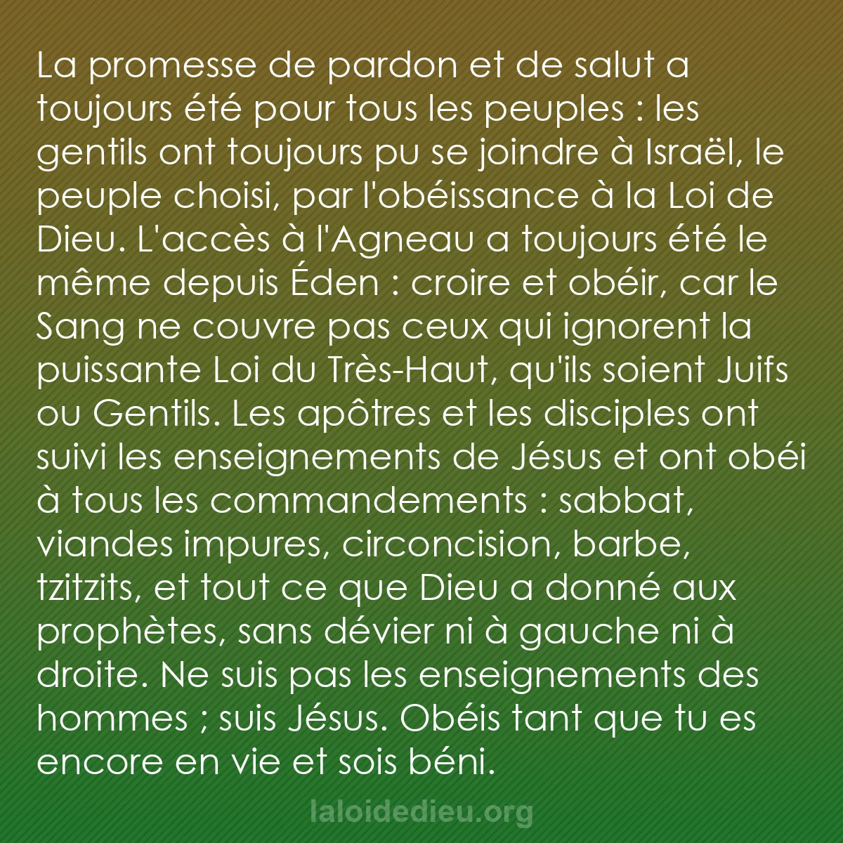 b0016 - Post à propos de la Loi de Dieu : La promesse de pardon et de salut a toujours été pour tous les...