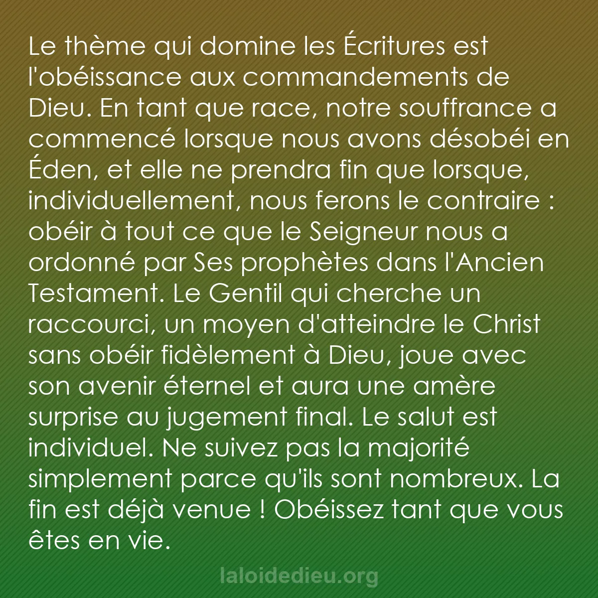 b0036 - Post à propos de la Loi de Dieu : Le thème qui domine les Écritures est l