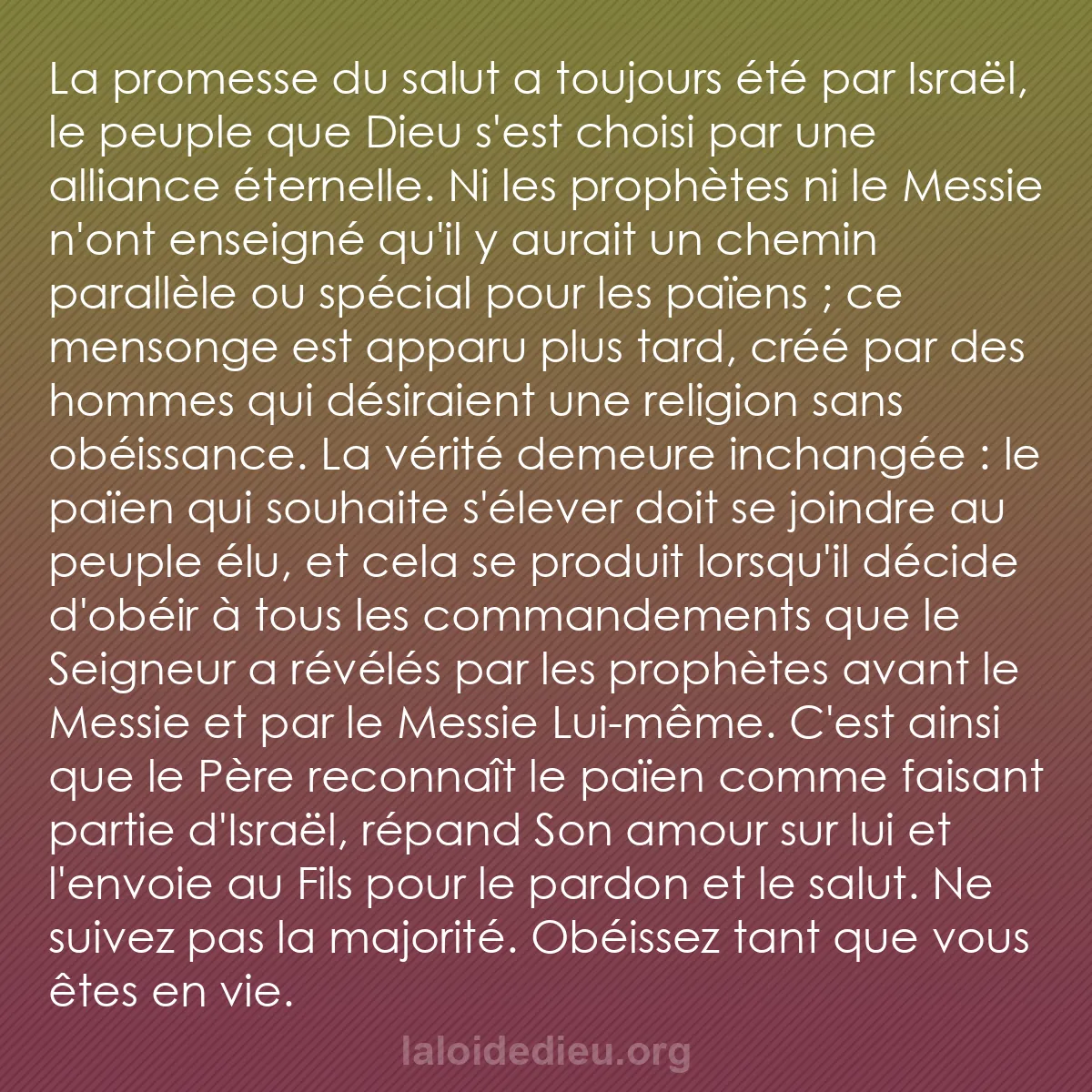 b0048 - Post à propos de la Loi de Dieu : La promesse du salut a toujours été par Israël, le peuple que...