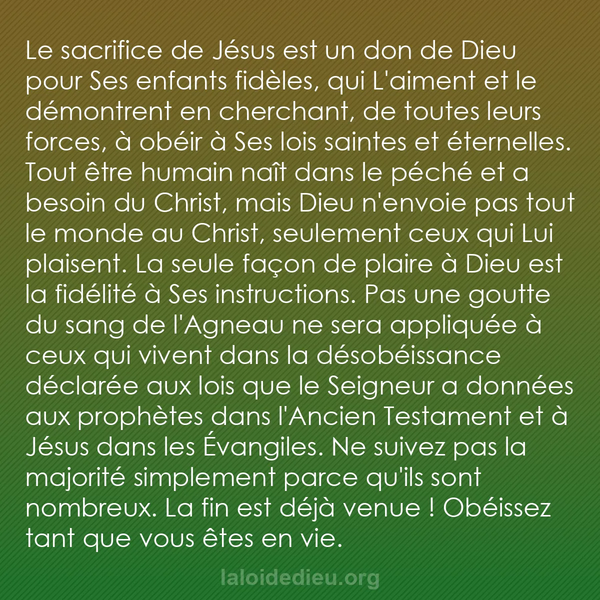 b0056 - Post à propos de la Loi de Dieu : Le sacrifice de Jésus est un don de Dieu pour Ses enfants fidèles,...