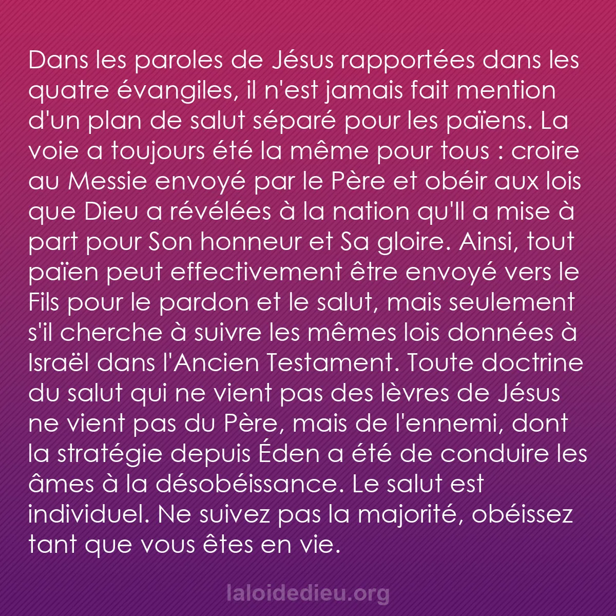 b0061 - Post à propos de la Loi de Dieu : Dans les paroles de Jésus rapportées dans les quatre évangiles,...