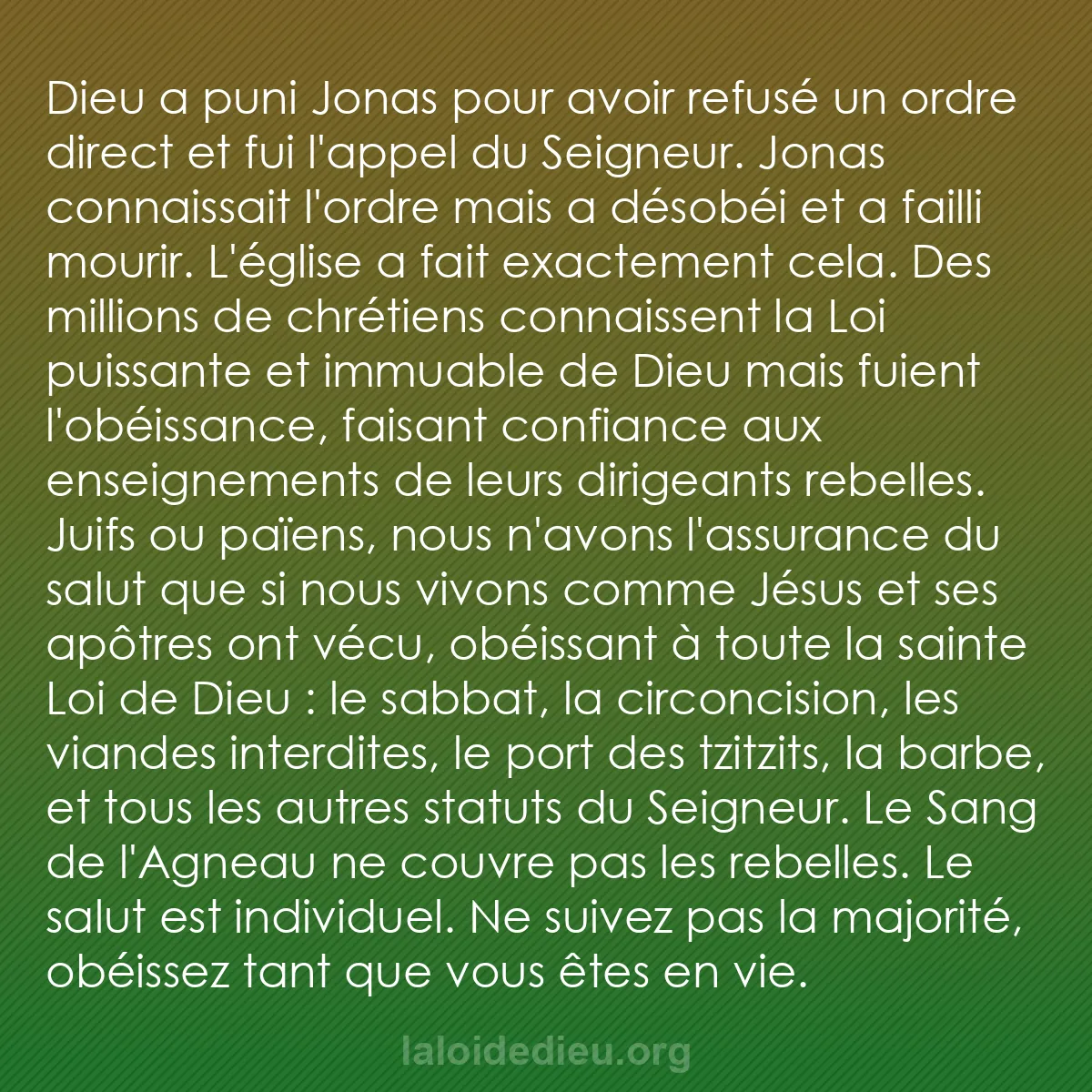 b0076 - Post à propos de la Loi de Dieu : Dieu a puni Jonas pour avoir refusé un ordre direct et fui l
