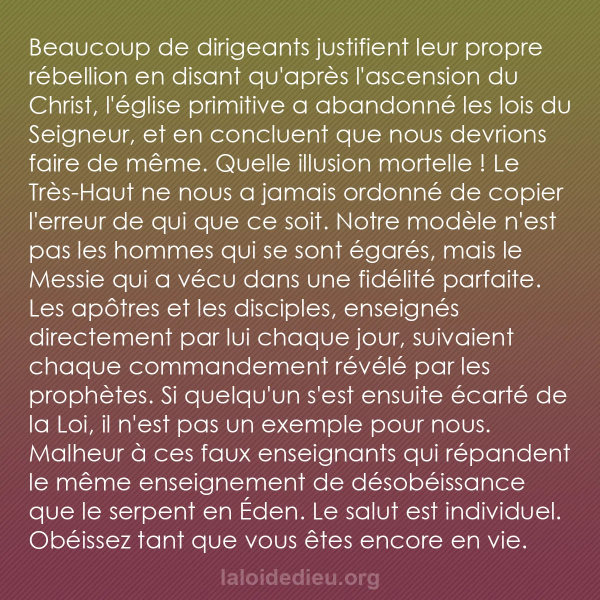 b0128 - Post à propos de la Loi de Dieu : Beaucoup de dirigeants justifient leur propre rébellion en disant...