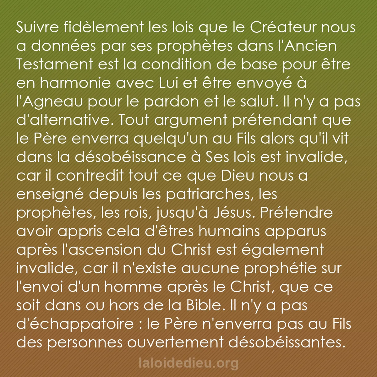 b0149 - Post à propos de la Loi de Dieu : Suivre fidèlement les lois que le Créateur nous a données par...