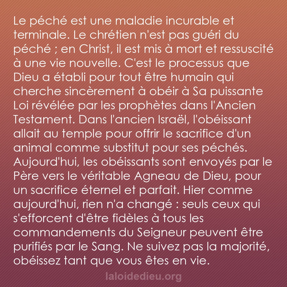 b0186 - Post à propos de la Loi de Dieu : Le péché est une maladie incurable et terminale. Le chrétien...