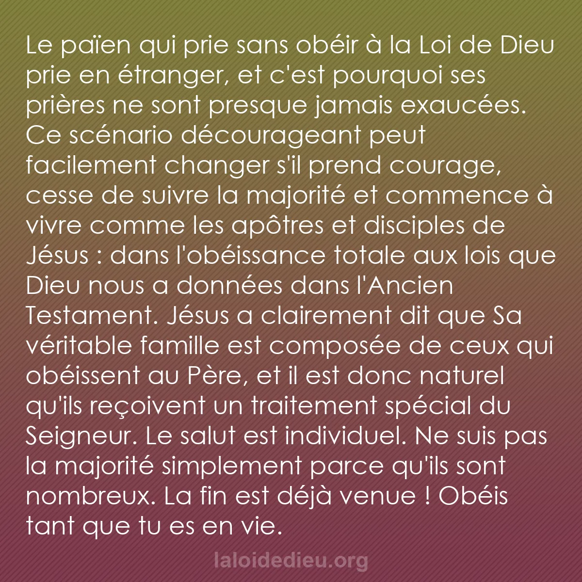 b0208 - Post à propos de la Loi de Dieu : Le païen qui prie sans obéir à la Loi de Dieu prie en étranger,...