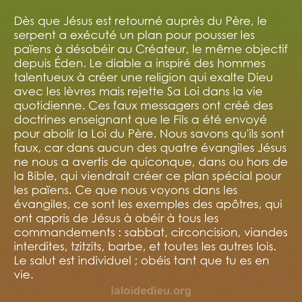b0209 - Post à propos de la Loi de Dieu : Dès que Jésus est retourné auprès du Père, le serpent a exécuté...