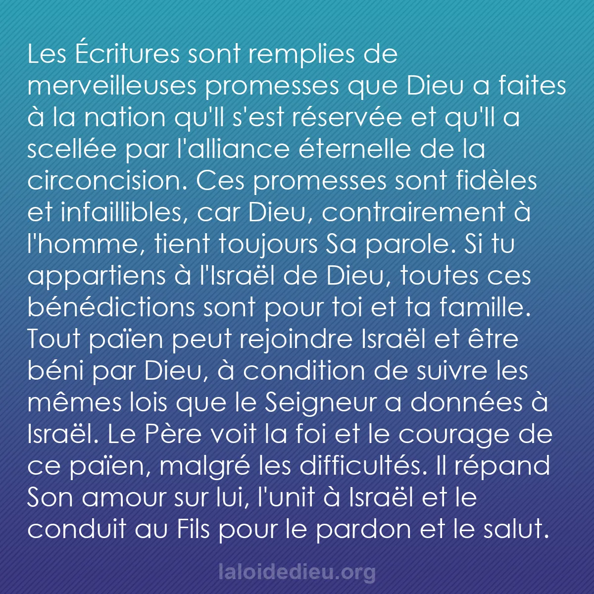 b0215 - Post à propos de la Loi de Dieu : Les Écritures sont remplies de merveilleuses promesses que Dieu...