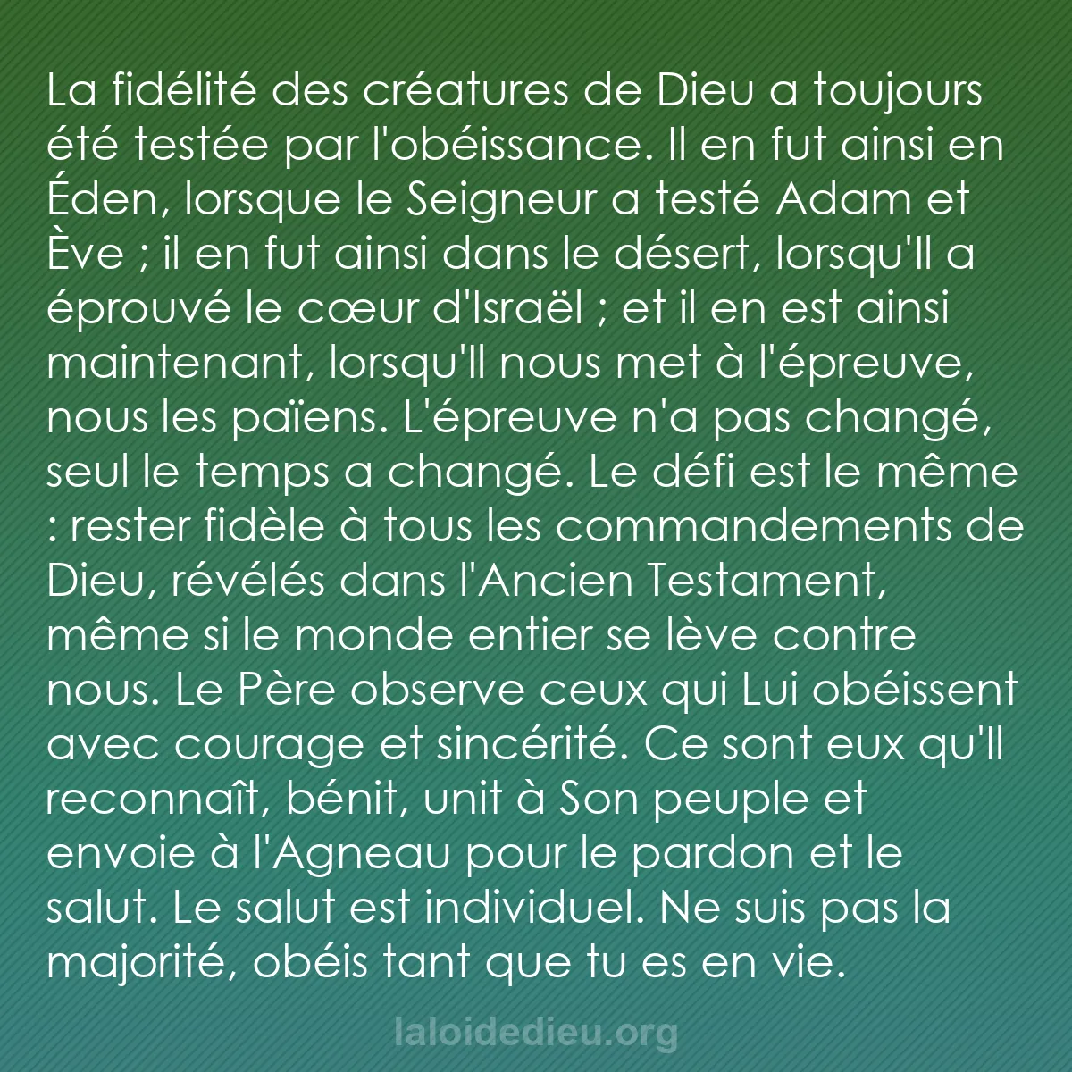 b0230 - Post à propos de la Loi de Dieu : La fidélité des créatures de Dieu a toujours été testée par...