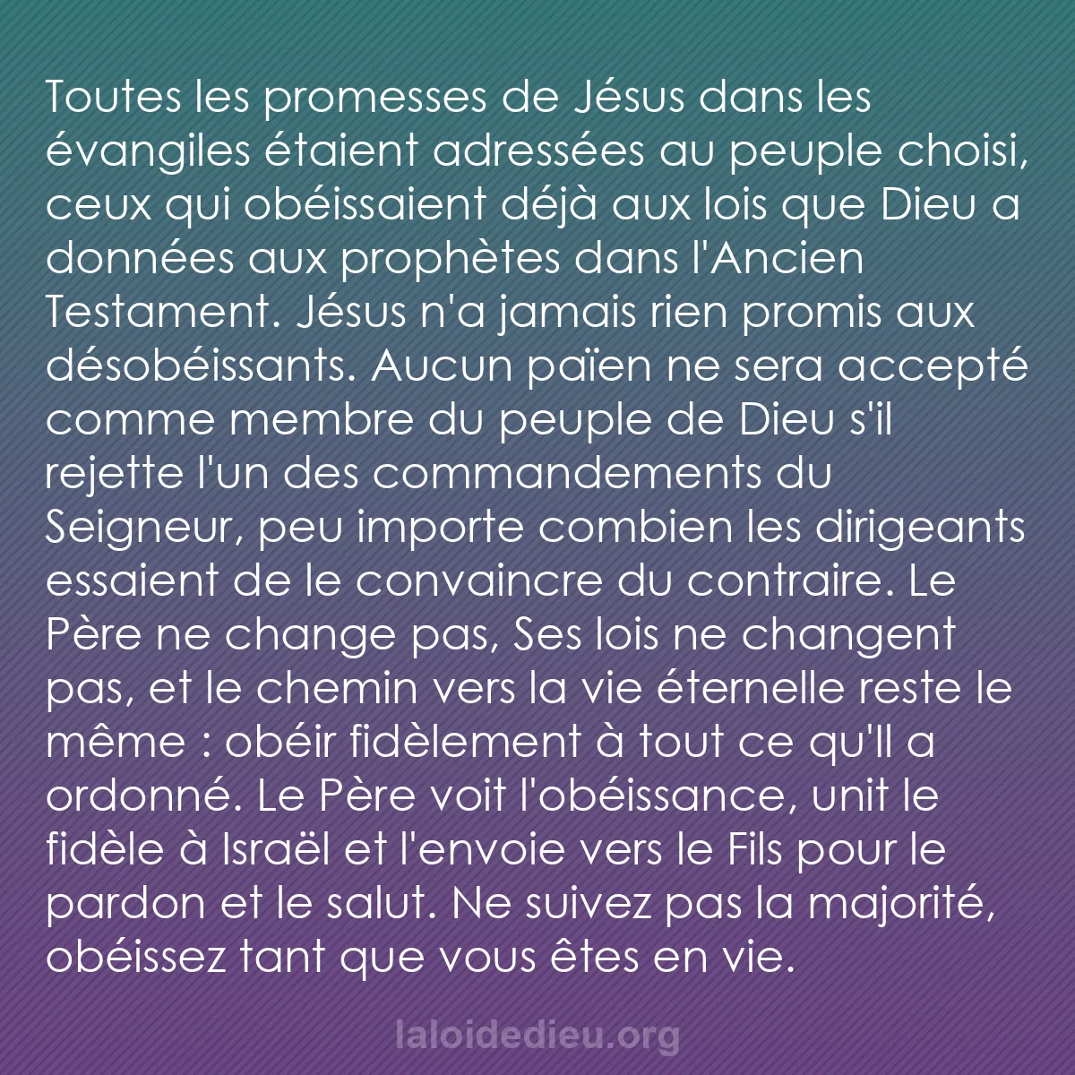 b0264 - Post à propos de la Loi de Dieu : Toutes les promesses de Jésus dans les évangiles étaient adressées...