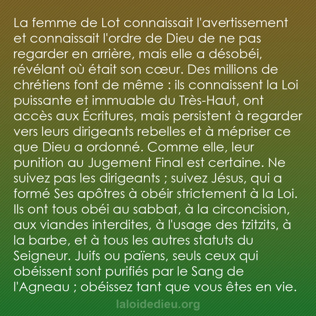 b0276 - Post à propos de la Loi de Dieu : La femme de Lot connaissait l
