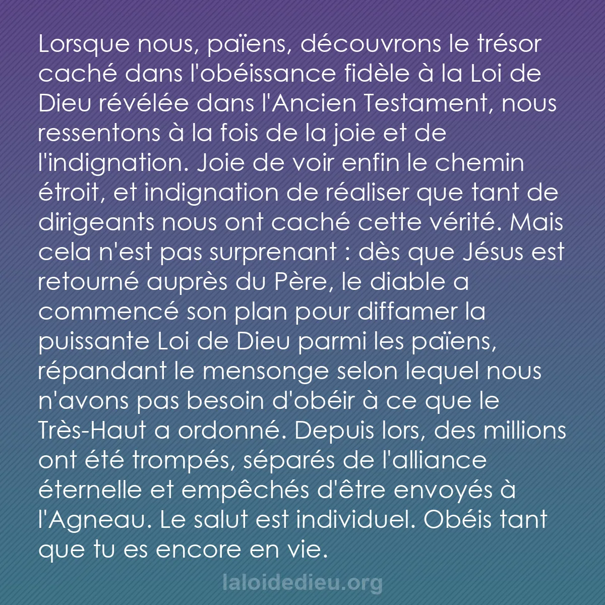 b0282 - Post à propos de la Loi de Dieu : Lorsque nous, païens, découvrons le trésor caché dans l