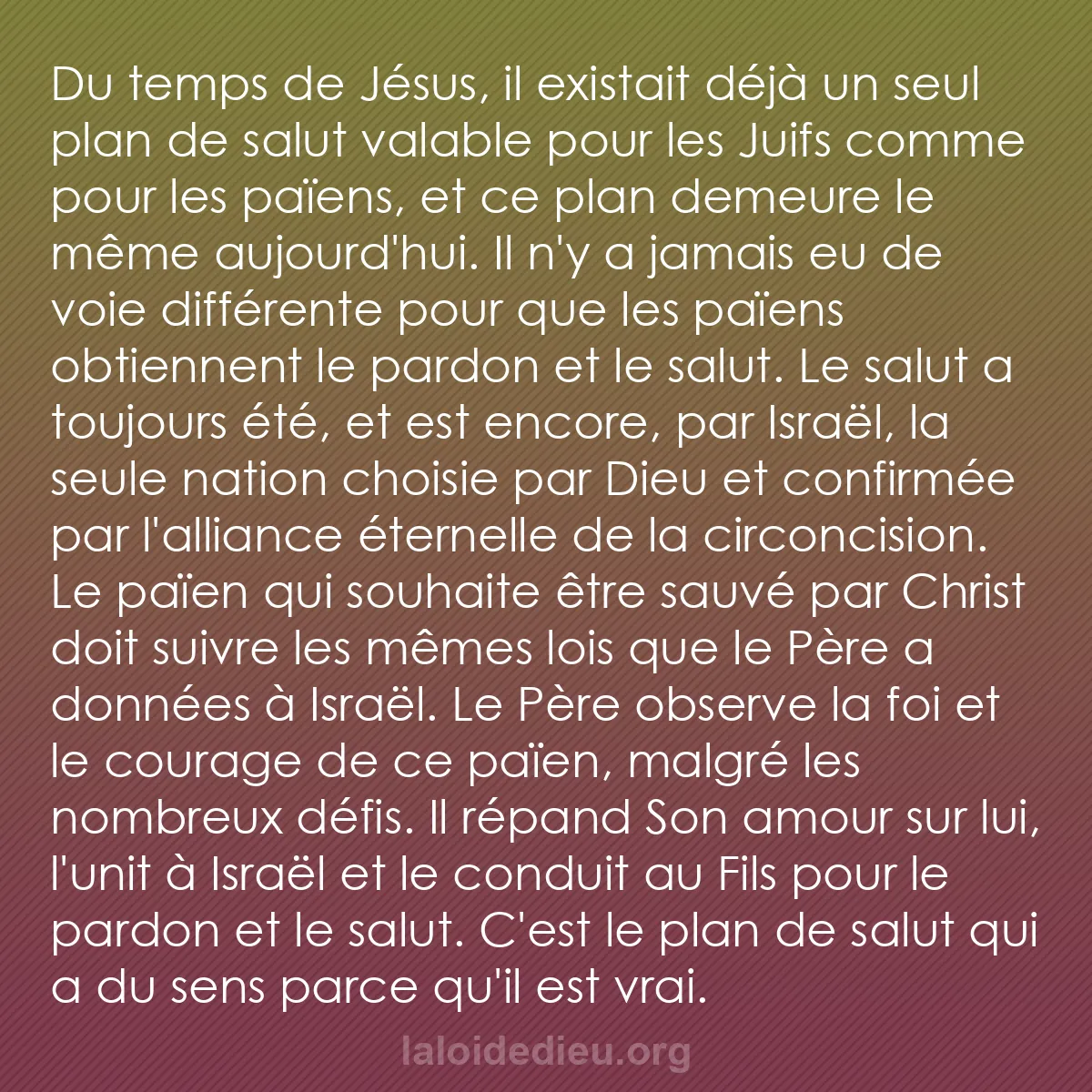 b0288 - Post à propos de la Loi de Dieu : Du temps de Jésus, il existait déjà un seul plan de salut valable...