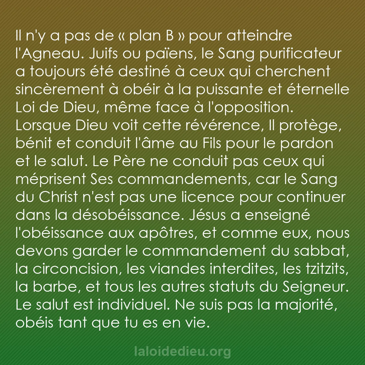 b0296 - Post à propos de la Loi de Dieu : Il n