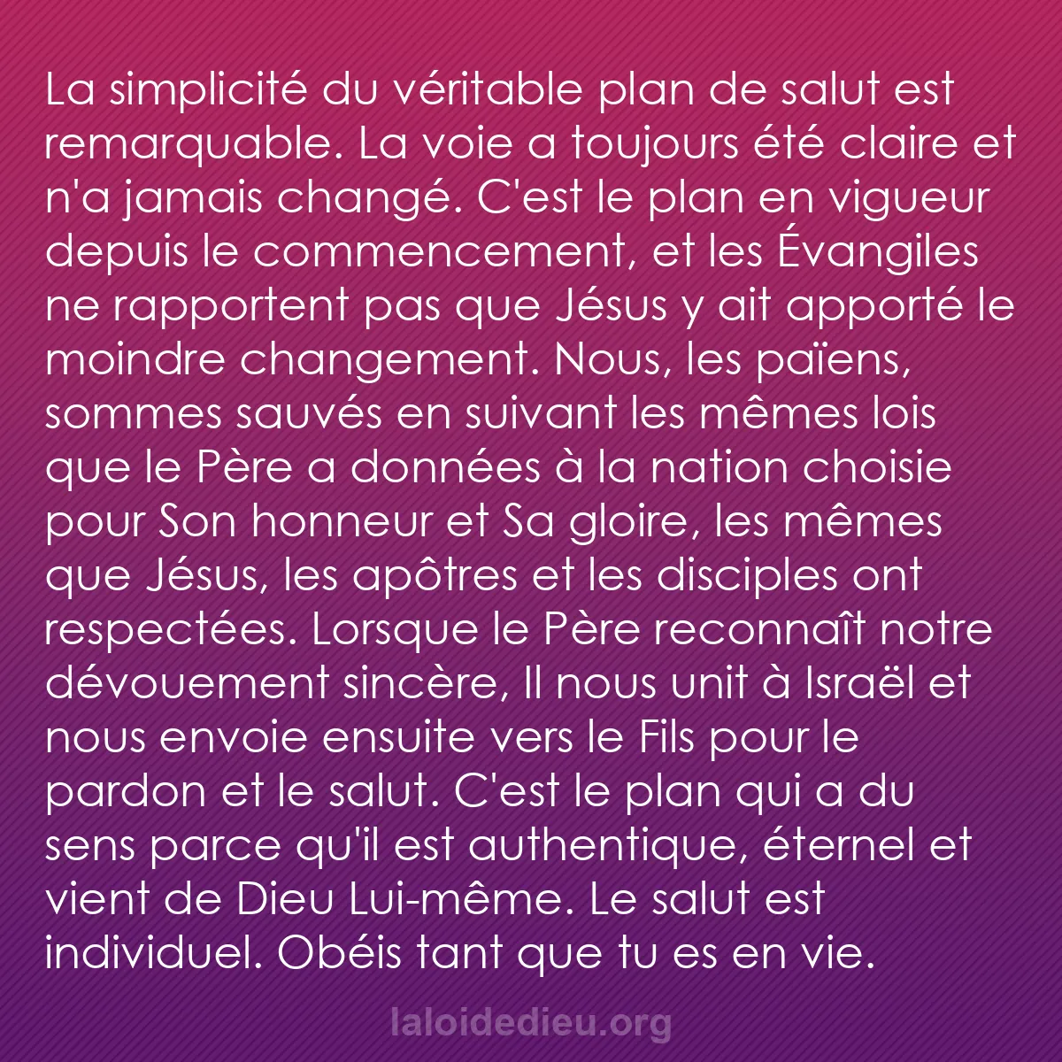 b0301 - Post à propos de la Loi de Dieu : La simplicité du véritable plan de salut est remarquable. La...