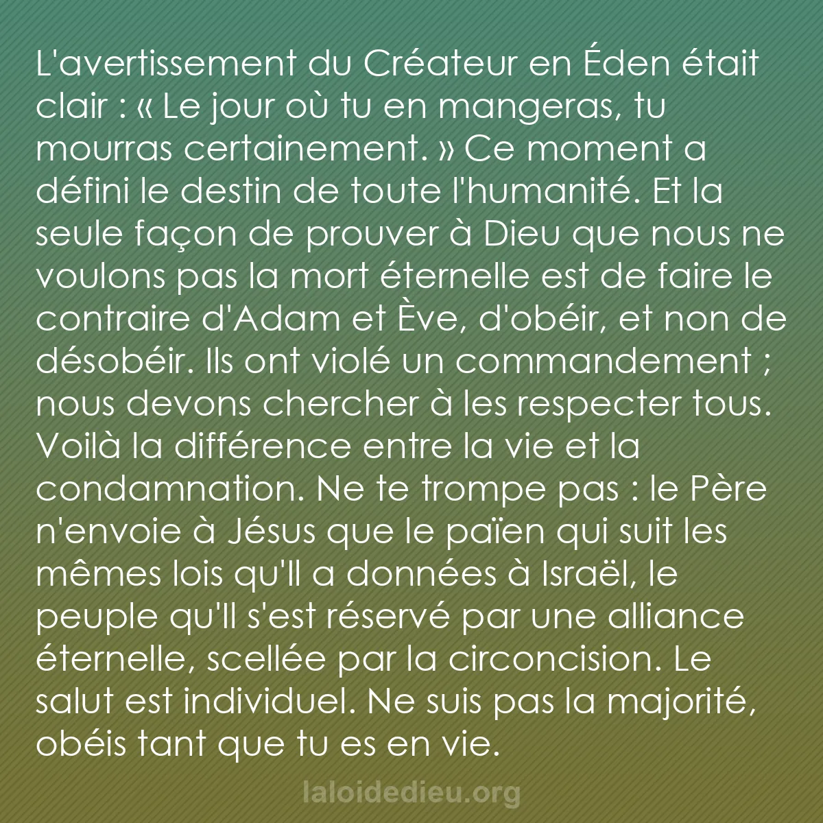 b0303 - Post à propos de la Loi de Dieu : L