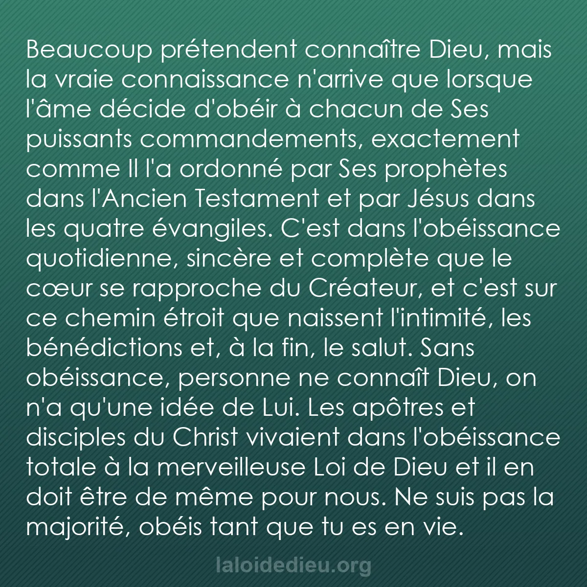 b0320 - Post à propos de la Loi de Dieu : Beaucoup prétendent connaître Dieu, mais la vraie connaissance...