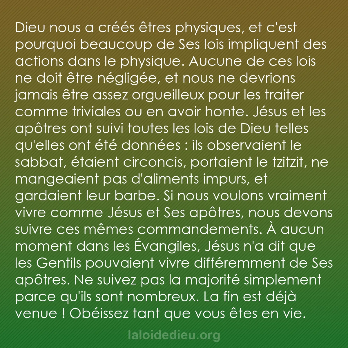 b0336 - Post à propos de la Loi de Dieu : Dieu nous a créés êtres physiques, et c