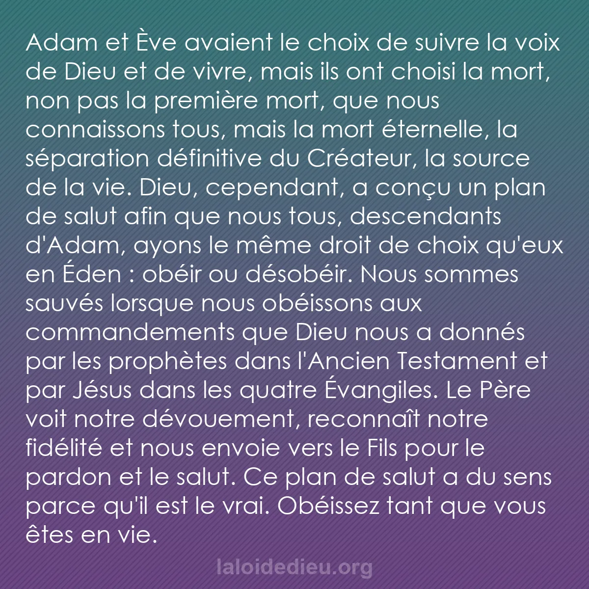 b0364 - Post à propos de la Loi de Dieu : Adam et Ève avaient le choix de suivre la voix de Dieu et de...