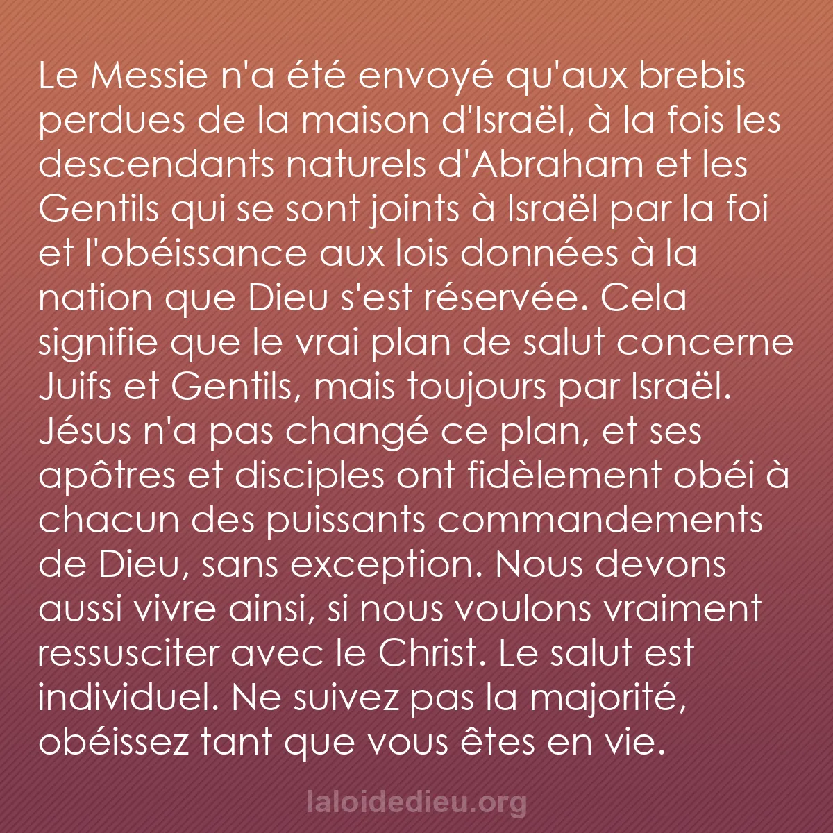 b0366 - Post à propos de la Loi de Dieu : Le Messie n