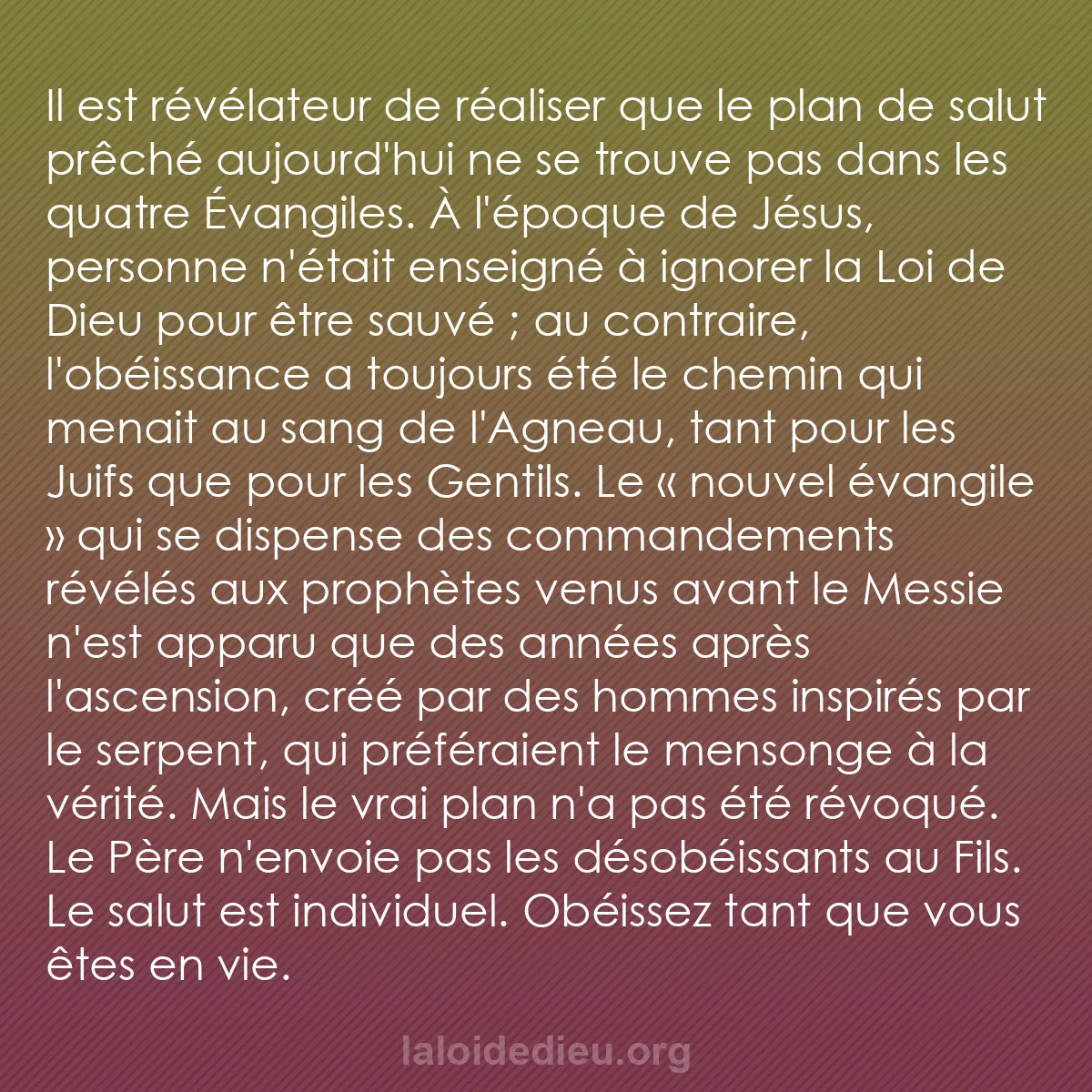 b0368 - Post à propos de la Loi de Dieu : Il est révélateur de réaliser que le plan de salut prêché aujourd