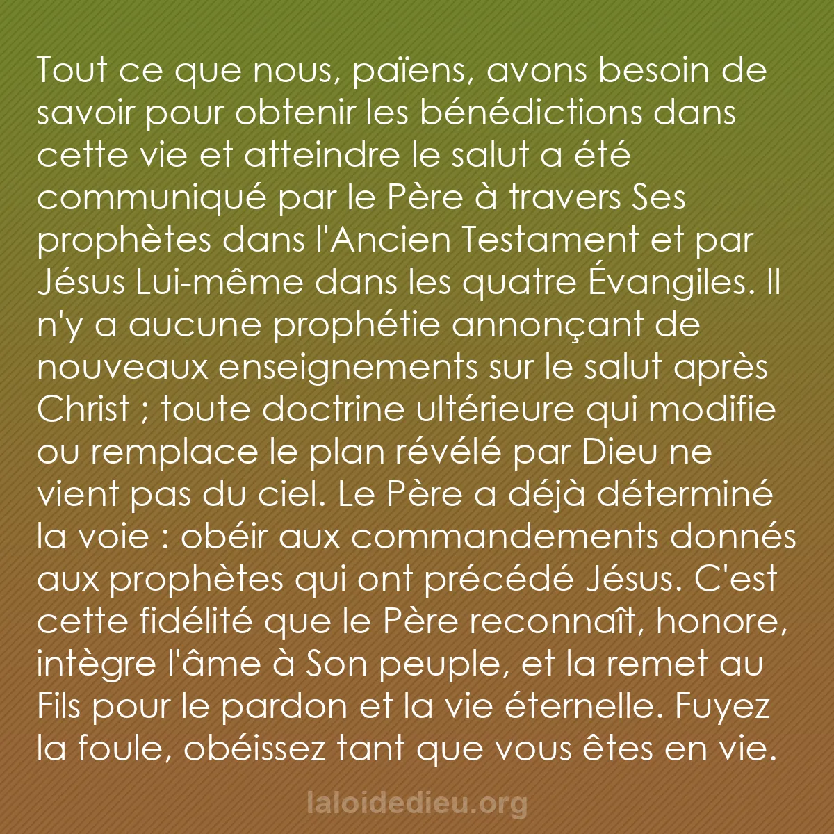 b0409 - Post à propos de la Loi de Dieu : Tout ce que nous, païens, avons besoin de savoir pour obtenir...