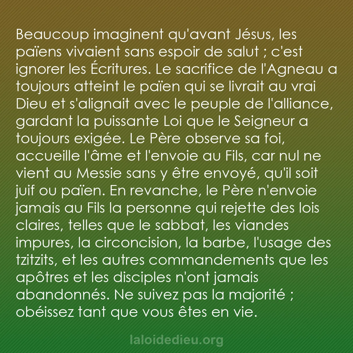b0416 - Post à propos de la Loi de Dieu : Beaucoup imaginent qu