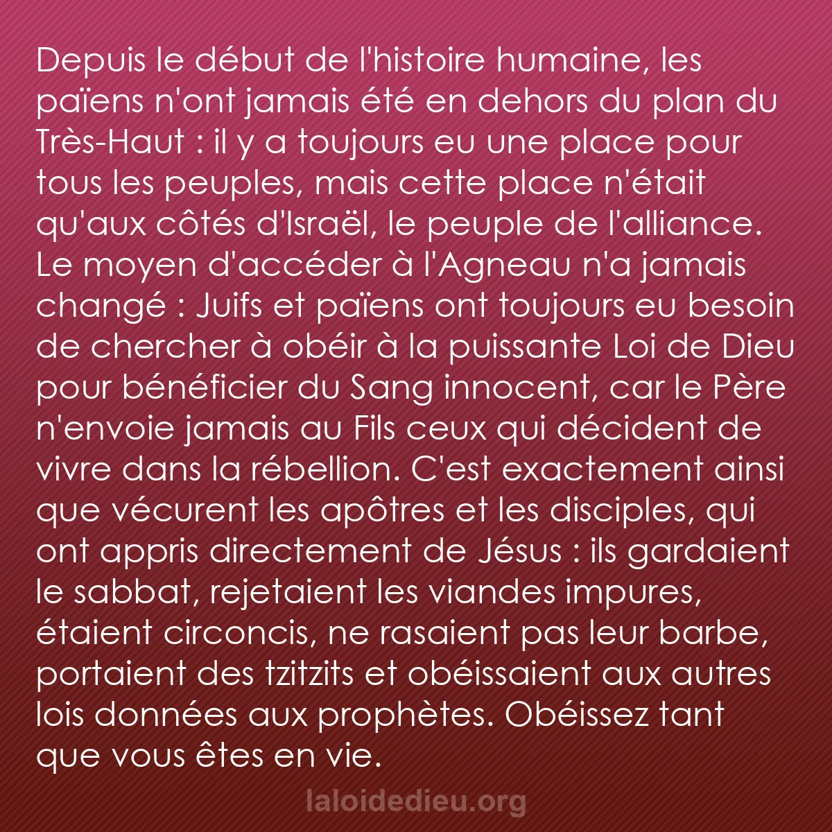 b0439 - Post à propos de la Loi de Dieu : Depuis le début de l