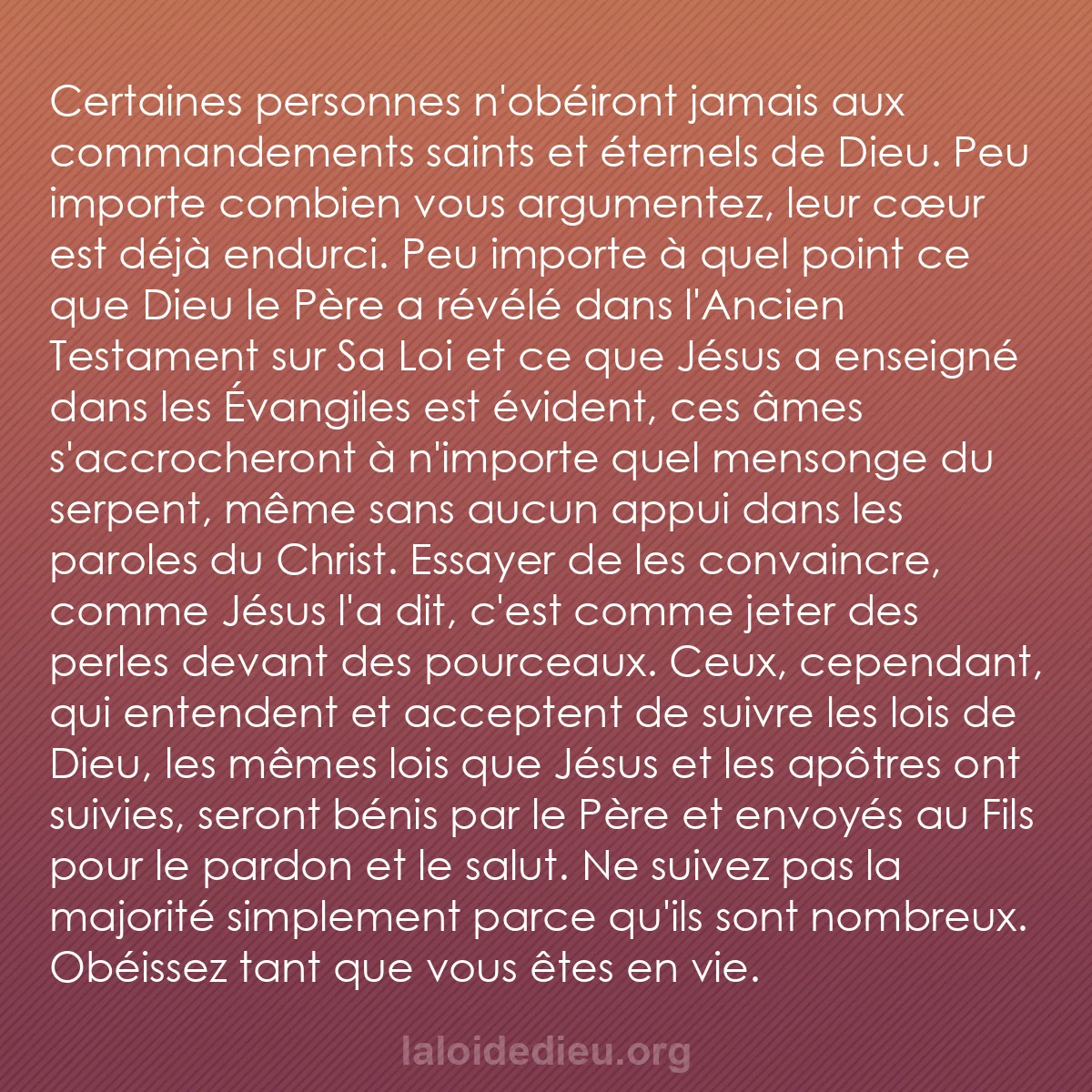 b0446 - Post à propos de la Loi de Dieu : Certaines personnes n