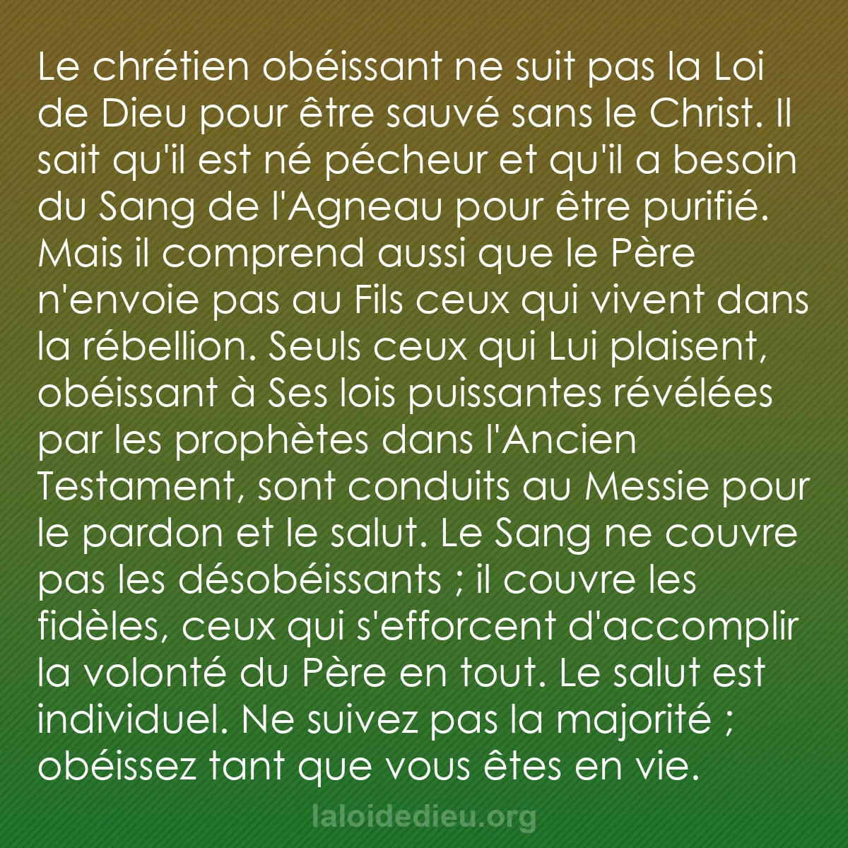 b0456 - Post à propos de la Loi de Dieu : Le chrétien obéissant ne suit pas la Loi de Dieu pour être sauvé...