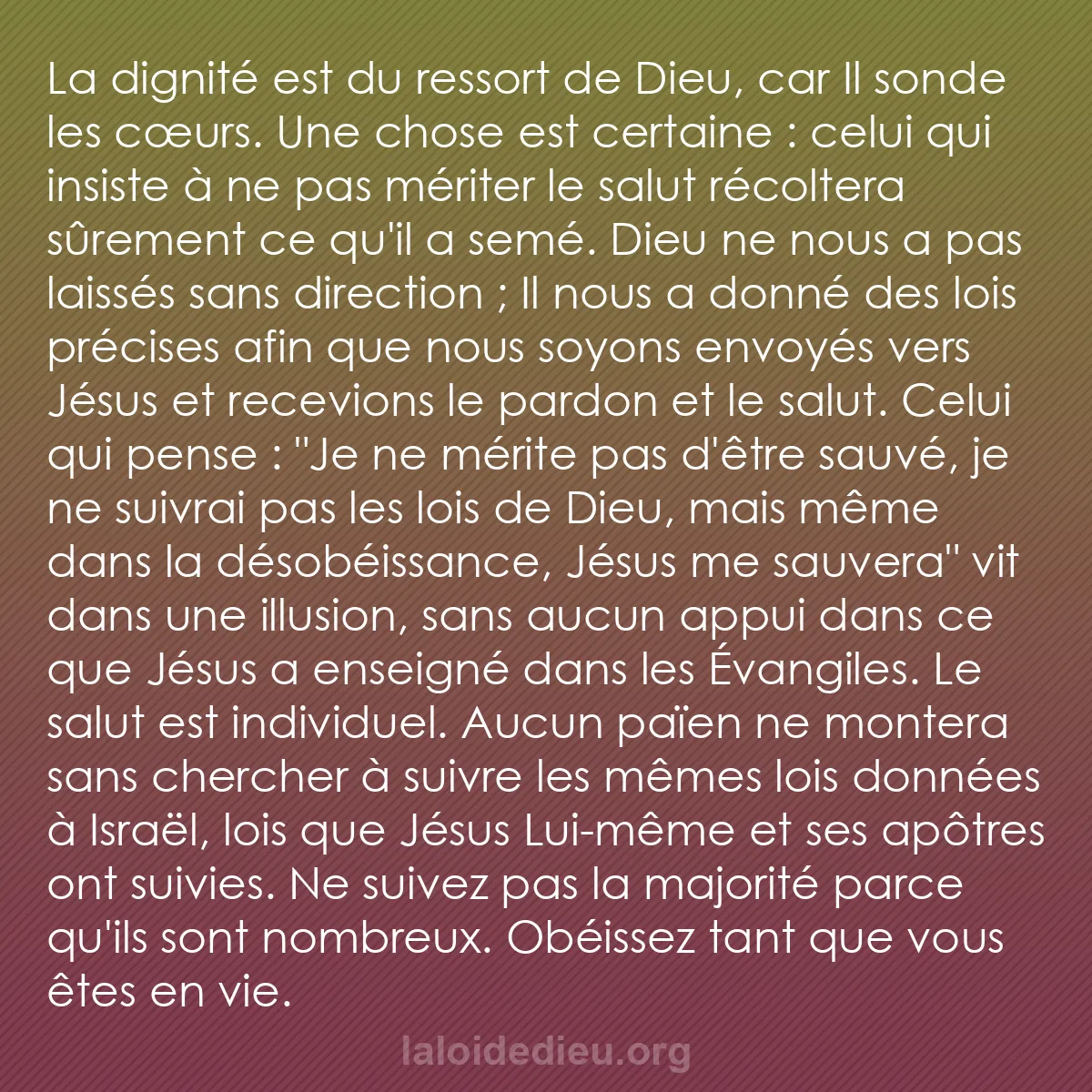 b0468 - Post à propos de la Loi de Dieu : La dignité est du ressort de Dieu, car Il sonde les cœurs. Une...