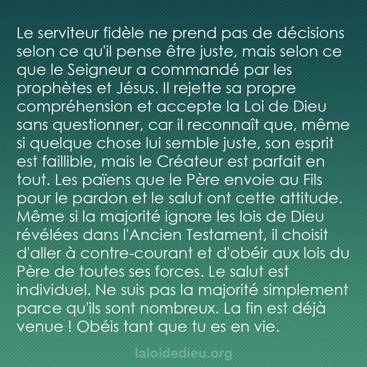 b0485 - Post à propos de la Loi de Dieu : Le serviteur fidèle ne prend pas de décisions selon ce qu
