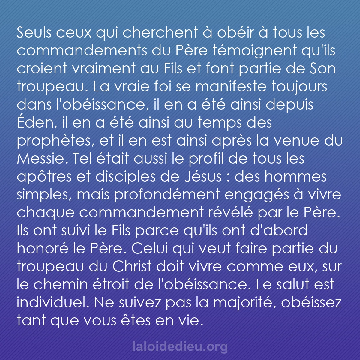 b0507 - Post à propos de la Loi de Dieu : Seuls ceux qui cherchent à obéir à tous les commandements du...