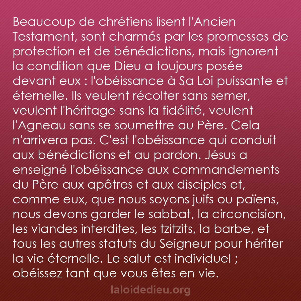 b0519 - Post à propos de la Loi de Dieu : Beaucoup de chrétiens lisent l