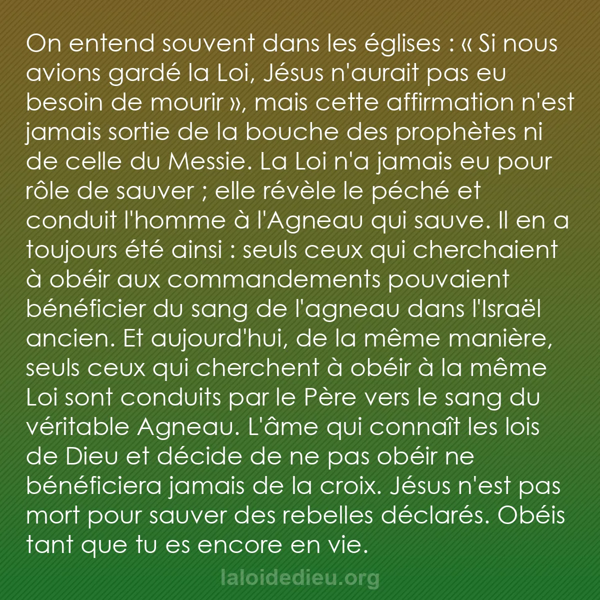 b0536 - Post à propos de la Loi de Dieu : On entend souvent dans les églises : « Si nous avions gardé...