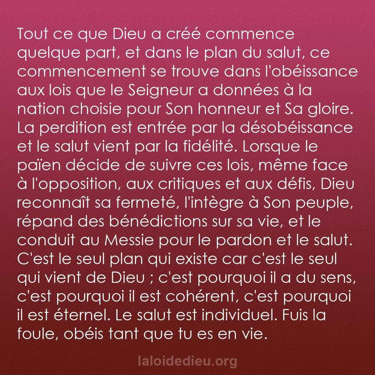 b0539 - Post à propos de la Loi de Dieu : Tout ce que Dieu a créé commence quelque part, et dans le plan...