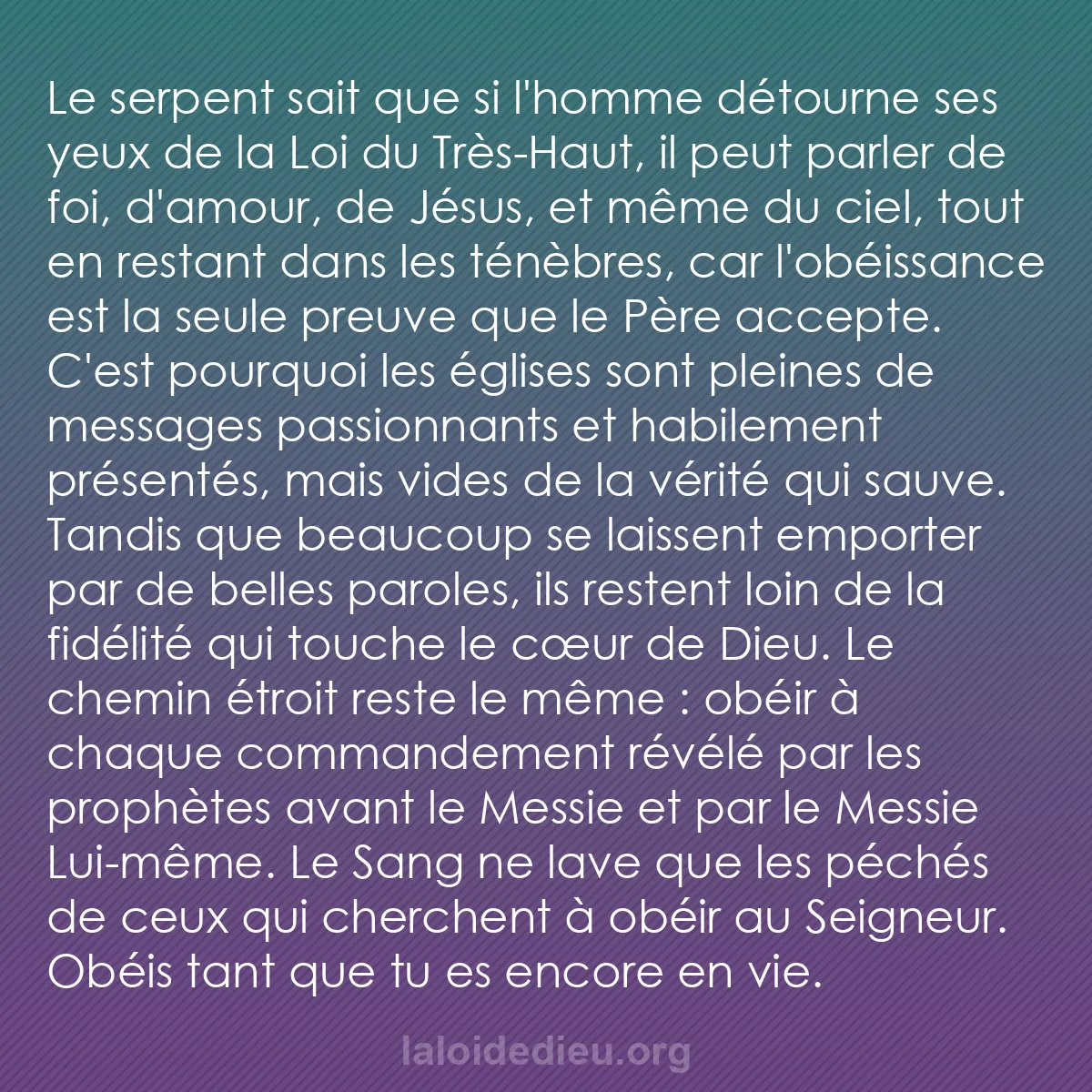 b0544 - Post à propos de la Loi de Dieu : Le serpent sait que si l