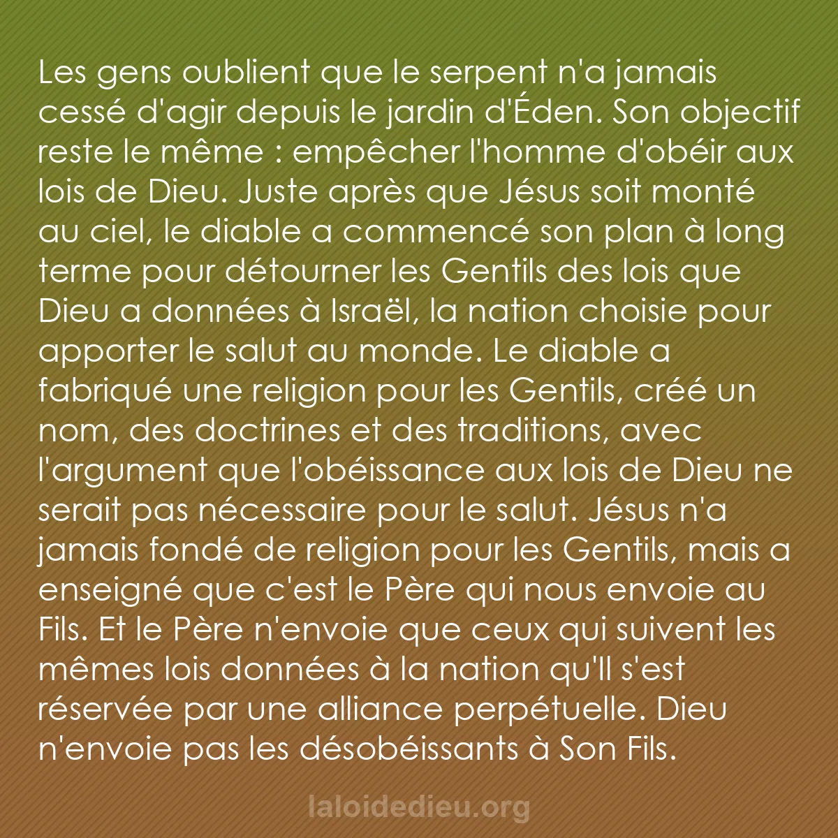 b0569 - Post à propos de la Loi de Dieu : Les gens oublient que le serpent n