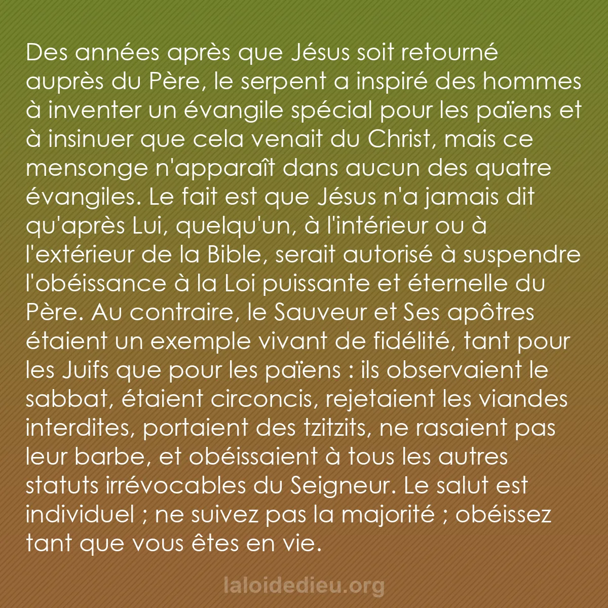 b0589 - Post à propos de la Loi de Dieu : Des années après que Jésus soit retourné auprès du Père, le...